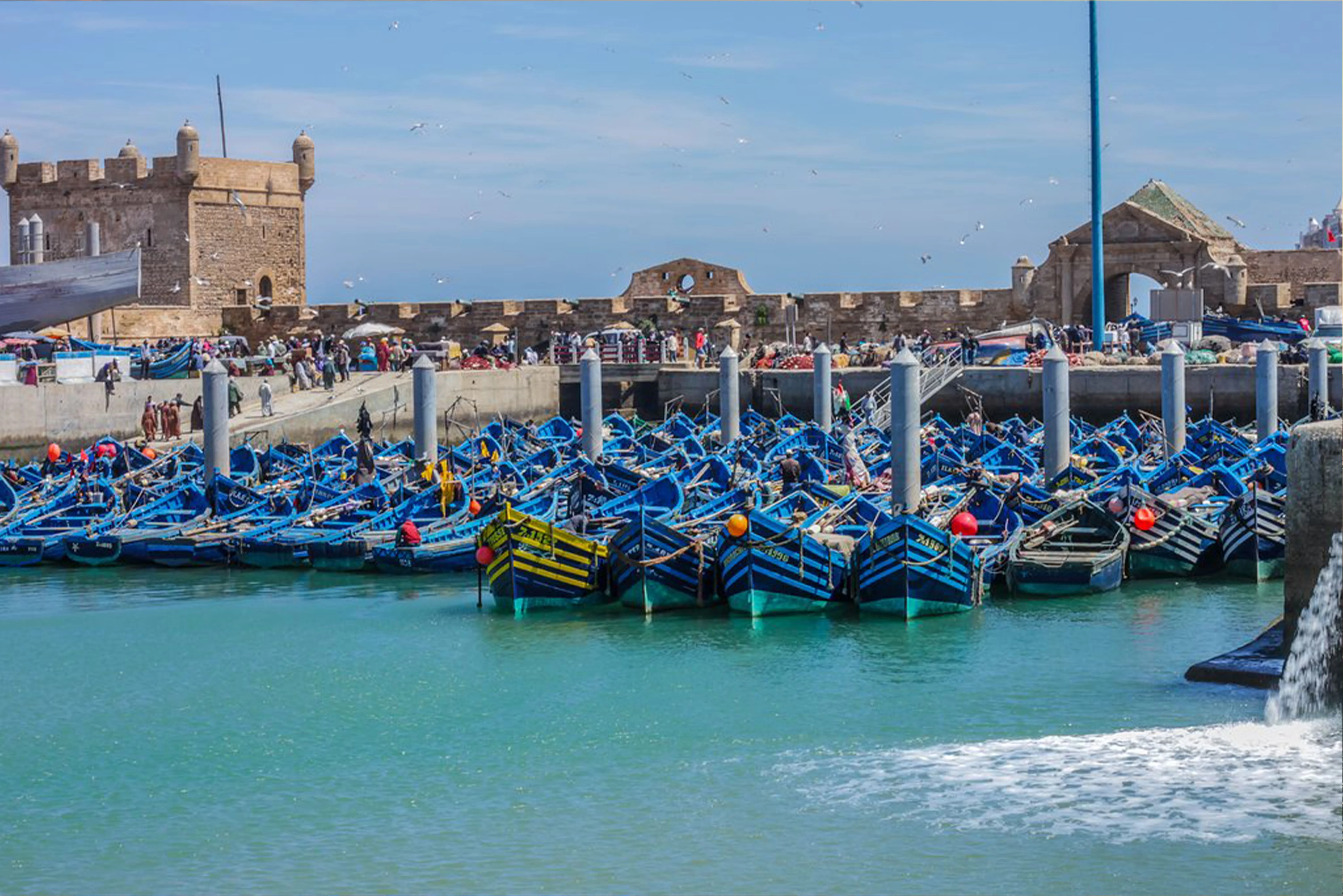Escursione a Essaouira