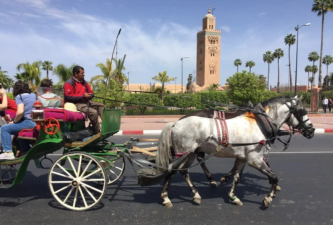Adventure in Morocco