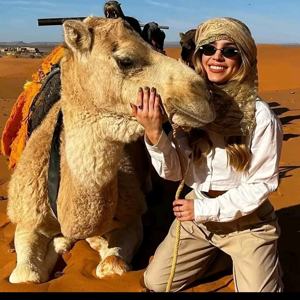 Tour Experience Morocco